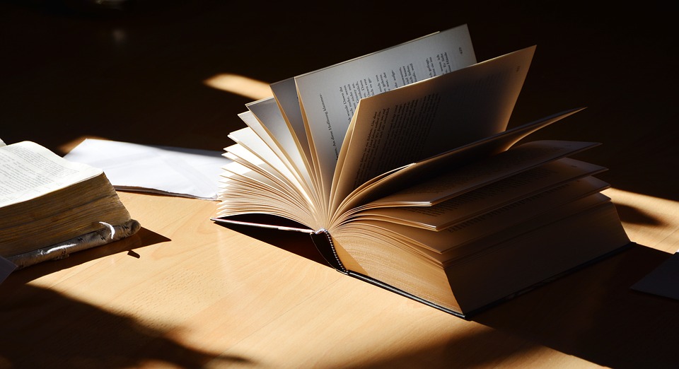 G. Bruno reflexiona sobre la literatura de Svetlana Alexivich y Kazuo Ishiguro | Pixabay libre